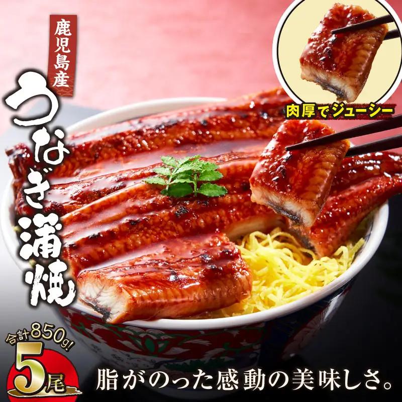  2445 鹿児島産うなぎ 合計850g（170g×5尾） 清らかな 地下水 育ち！ KN021-014-05 鰻 魚 惣菜 総菜
