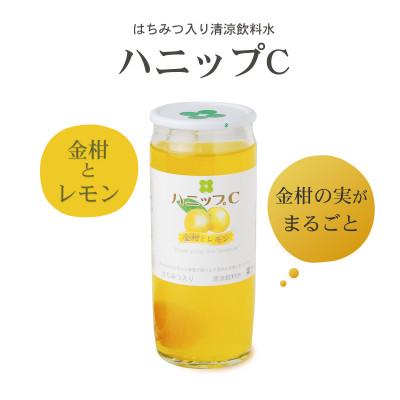 ふるさと納税 古座川町 【古座川町】果実入り清涼飲料水 ハニップC 2種類セット |  | 02