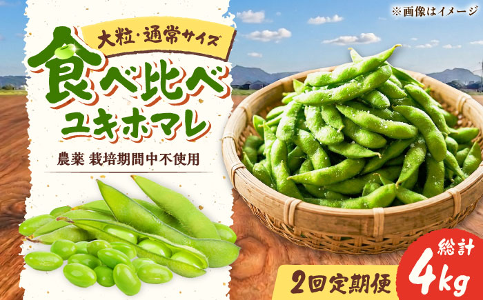 【2回定期便】 バランス農法 枝豆 計4kg (ユキホマレ/大粒ユキホマレ) | えだまめ ユキホマレ 食べ比べ 産地直送 北海道 | あぐりこ園 [BOAA004]