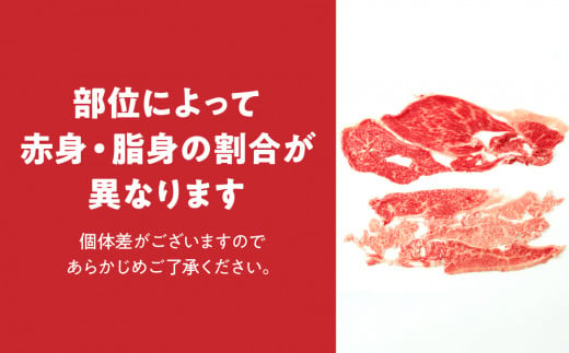 宮崎牛 スライス 食べ比べ セット 計1.1kg 牛肉 肉 国産 しゃぶしゃぶ すきしゃぶ 食べ比べ セット スライス 小分け 赤身 ブランド牛 ギフト 贈り物 九州 宮崎