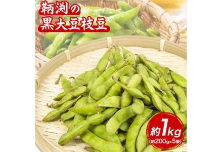 【数量限定】和歌山県産鞆渕の黒大豆枝豆 約1kg(200g×5袋入り) 紀の川市厳選館《10月上旬-11月上旬頃出荷》 和歌山県 紀の川市 豆 枝豆