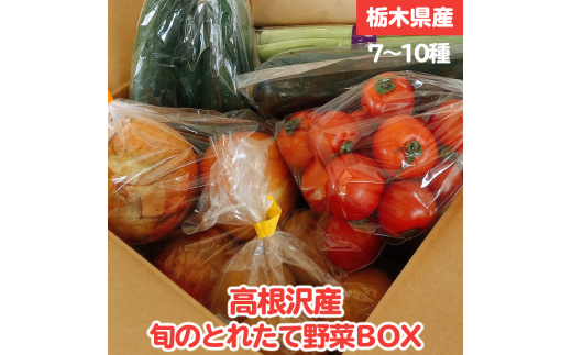 
高根沢産旬の野菜BOX
