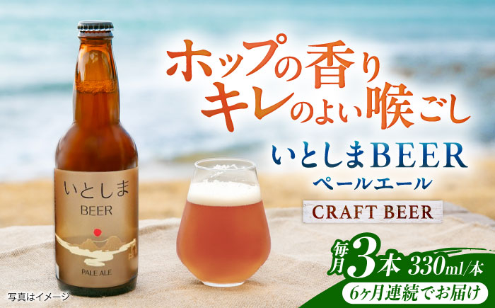 
                  【全6回定期便】 いとしまBEER (ペールエール) 330ml×3本 糸島市 / 蔵屋 クラフトビール [AUA048]
                