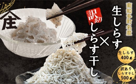 生しらす 400g 訳ありしらす干し 500g セット 冷凍 刺身 真空パック しらす干し 炒飯 パスタ ごはん 丼 サラダ 魚 料理 愛知県 南知多町 師崎 シラス しらす 小魚 魚貝 魚貝類 しらす シラス 海鮮 しらす丼 シラス丼 ふるさと納税しらすしらす おすすめ 大人気 南知多産しらす愛知県産しらす