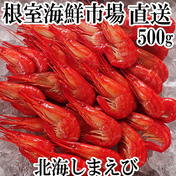 【ふるさと納税】根室海鮮市場＜直送＞北海しまえび500g×1P A-28257