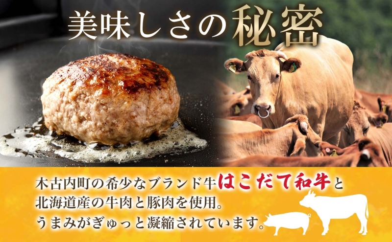  北海道 みそぎの郷 ハンバーグ 6個 ソース 付き 北海道産 和牛 はこだて和牛 あか牛 牛肉 豚肉 ビーフ ポーク 合挽 肉汁 ジューシー 本格 希少 国産 洋食 時短 簡単 人気 おかず 惣菜 