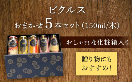 お任せピクルス５本セット化粧箱入り《築上町》【ERBA FARM733】 [ABAP006] 19000円[ABAP006]