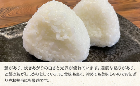 【令和5年産】【九州米・食味コンクール最優秀賞受賞】大分県中津市産 やまくに誉 つや姫 5kg×2袋 お米 精米 白米 熨斗対応可 お米 おいしい米 高評価米 中津市米 大分県米 九州米