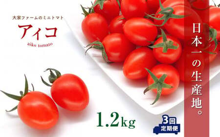 【定期3回】『大家ファーム』のミニトマト アイコ 1.2kg×3回 | ミニトマト トマト  野菜 定期便 定期  熊本県 玉名市