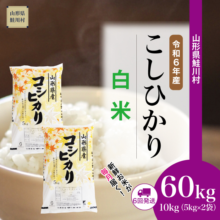 ＜令和6年産米 配送時期指定できます！＞　コシヒカリ【白米】60kg定期便(10kg×6回)　鮭川村