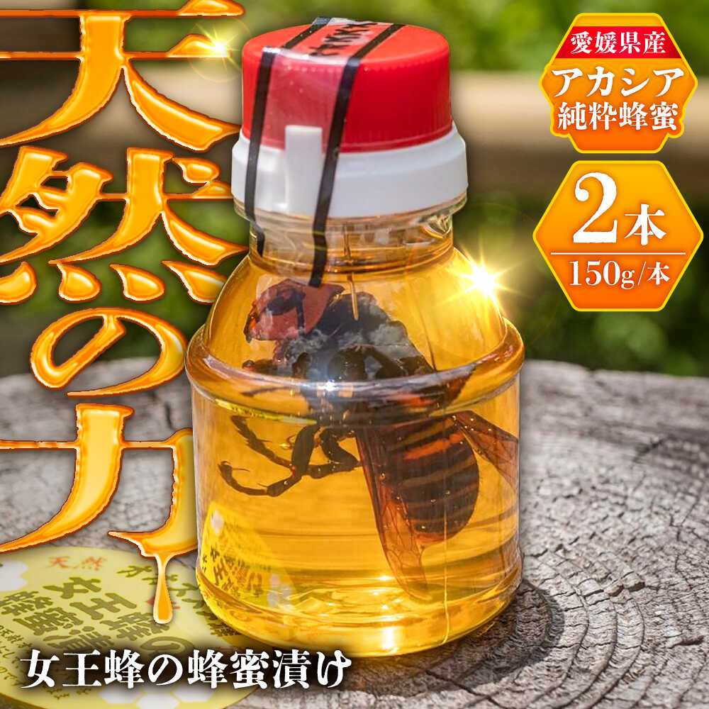 【ふるさと納税】女王蜂の蜂蜜漬け（150g×2本）／はちみつ ハチミツ ハニー ジャム 内子町 人気 おすすめ 送料無料 国産 食品 贈り物 ギフト プレゼント 四国 愛媛県 養蜂 健康 調味料 トースト ヨーグルト スイーツ 【ミカタスイッチ株式会社】[BKBU001] 9000 9000円