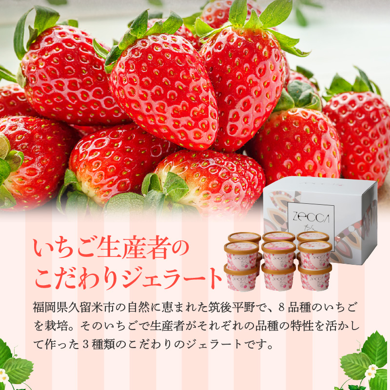 いちごジェラート詰め合わせ(12個入り)_いちご ジェラート 3種類 × 各 4個 100ml 計 12個 詰め合わせ プレミアム いちごミルク あまおう ヨーグルト ホワイトショコラ 紅ほっぺ 煌め