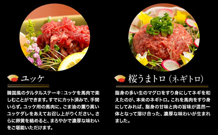 【12ヶ月定期便】厳選プレミアム 馬刺し セット 460g 熊本 千興ファーム 馬肉 《申込みの翌月から発送》 冷凍 配送 新鮮 さばきたて 真空パック ミシュラン 生食用 肉 菅乃屋 熊本県御船町_