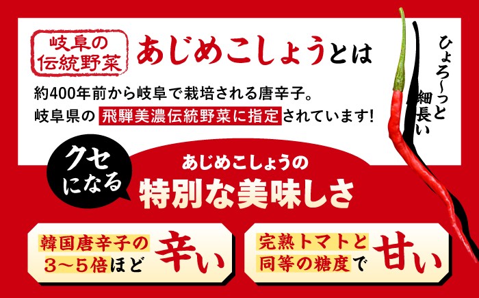 スパイス アウトドア キャンプ 調味料 料理 バーベキュー 詰め合わせ BBQ 贈答 ギフト おすすめ 人気 岐阜県 恵那市