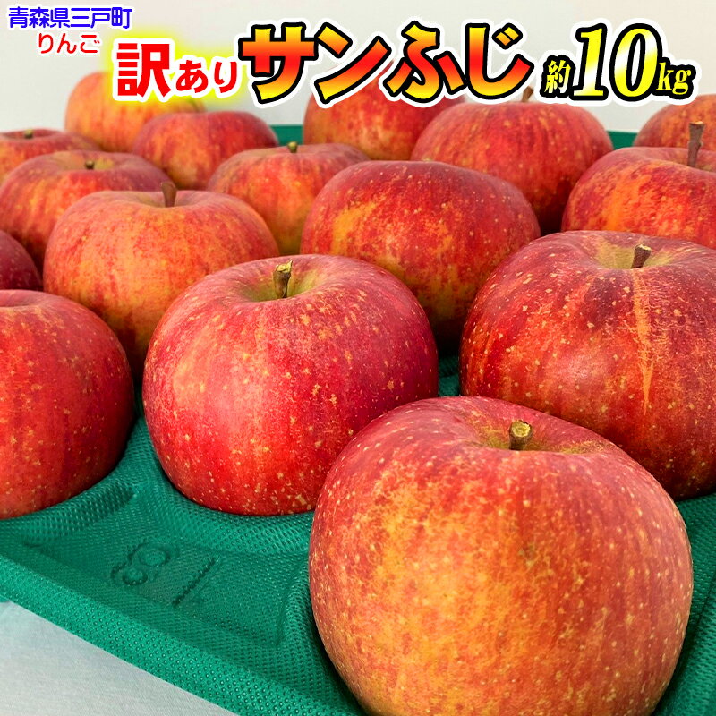 【ふるさと納税】【訳あり】青森 りんご「 サンふじ」【2025年産・先行予約】★2025年12月～2026年1月末頃まで発送予定★容量を選べる！ 約5kg（12～20玉）/約10kg（24～40玉）青森県産 リンゴ 三戸町 林檎 フルーツ 農家直送 わけあり 家庭用 不揃い 傷あり