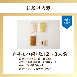 国産和牛もつ鍋（塩味）2～3人前 ／ もつ鍋【B071】
