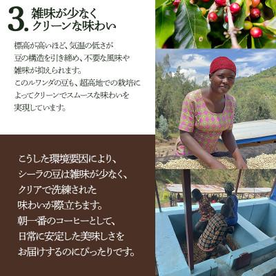 ふるさと納税 鶴岡市 千一珈琲 コーヒー豆「ルワンダ」87g [K-710] |  | 03