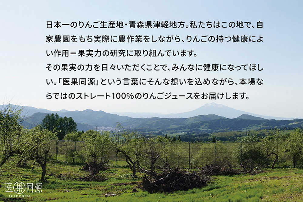 医果同源未熟りんご入り りんごジュース（160g×12本入）