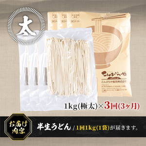 ＜訳あり・定期便＞半生うどん (3kg(3回)・極太) 訳あり 本場 讃岐 さぬき 香川県 麺 コシ 常温 常温保存 小麦 麺 定期便 【man164-B】【こんぴらや販売】