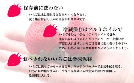 【2025年発送 先行予約】 福岡県産いちご あまおう (270g×6パック) SF053-1