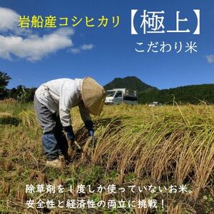 【毎月定期便】[極上]こだわり米 岩船産コシヒカリ精米6kg(3kg×2袋)[奥越後の百姓屋]全3回【4070089】
