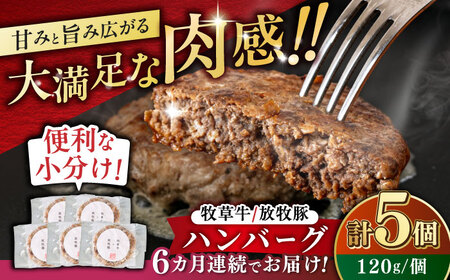 【全6回定期便】　【牧草牛×放牧豚】ハンバーグ 5個 《厚真町》【GOODGOOD株式会社】 ハンバーグ 牛肉 豚肉 小分け 冷凍配送 北海道[AXBP028]