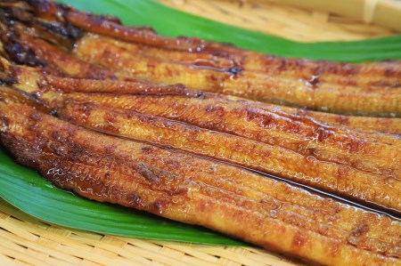 【活うなぎ・一色産】蒲焼き×白焼き 食べ比べセット（各１尾×150g）（20-47）