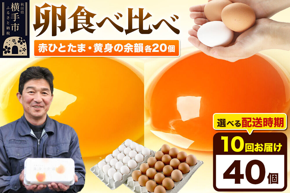 【常温発送】《定期便10ヶ月》赤ひとたま 20個・黄身の余韻 20個 計40個（業務用）【発送時期が選べる】東海林養鶏場 赤ひとたま 黄身の余韻 卵 玉子 たまご タマゴ 10か月 10ヵ月 10カ月