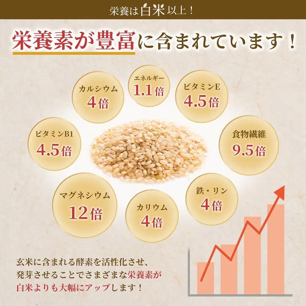 特A ひとめぼれ 米 残留農薬ゼロ 発芽玄米 1.5kg × 10袋 12ヶ月 毎月定期便 無洗米 令和7年度産 玄米 こめ コメ お米 ヒトメボレ ご飯 ライス 大分県 大分 玖珠町 玖珠