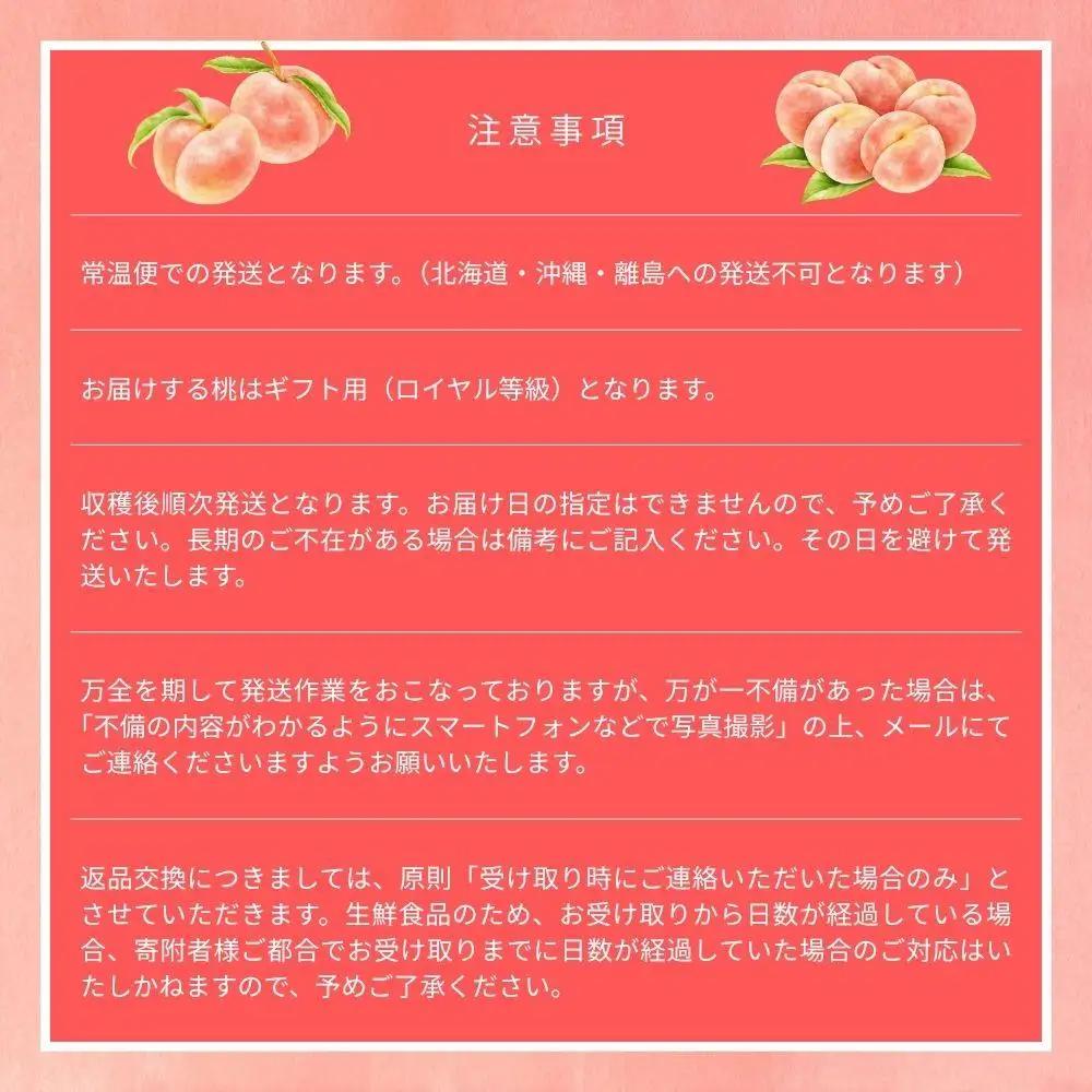 【2026年先行予約】［なんばふぁーむ］岡山県産 黄金桃 1.5kg（4～6玉）[ギフト用]