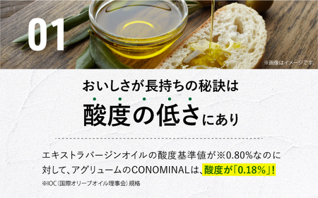 【化粧箱】エキストラバージンオリーブオイル[EAI146]  エキストラバージンオリーブオイル えきすとらばーじんおりーぶおいる オリーブオイル エキストラバージン オイル おりーぶおいる おいる ギ