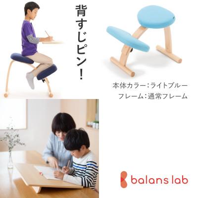 ふるさと納税 美濃市 バランスイージー 通常[ライトブルー]+イージーライティングボードL【複数個口で配送】