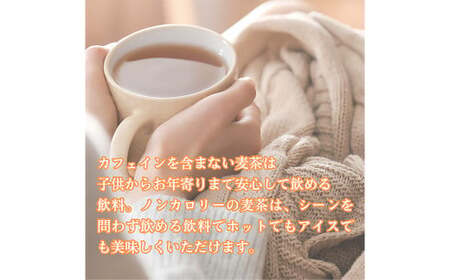 【柳川のお米】 令和6年産 ヒノヒカリ 10kg と 麦茶 16P セット 白米 お茶 パック