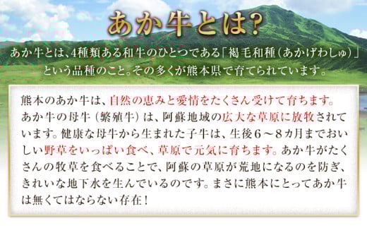 国産 牛肉 ローストビーフ 牛肉 ブロック 赤身 あか牛 送料無料 《60日以内に出荷予定(土日祝除く)》熊本県産 熊本 国産牛 500g ローストビーフ丼 牛肉 サンドイッチ 牛肉 国産牛 あか牛 