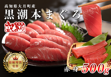 【訳アリ】養殖本マグロ 赤身 500g 黒潮本まぐろ 刺身用 小分け柵 最優秀賞受賞 高知県大月町