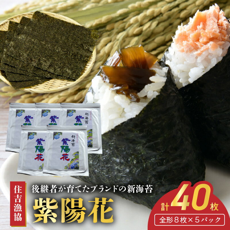 【ふるさと納税】住吉漁協 後継者が育てたブランドの新海苔「紫陽花」(全形8枚×5パック)【熊本県宇土市】
