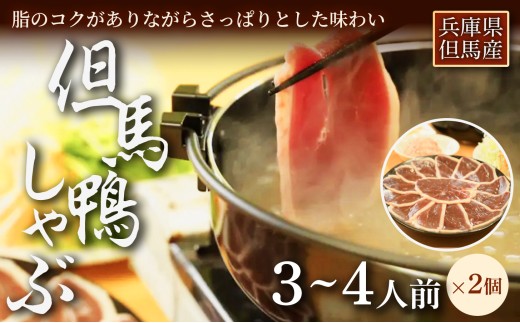 【さっと火を通して味わう】「但馬鴨」しゃぶしゃぶセット(小)3～4人前　2セット　お中元、お歳暮、快気祝い、残暑御見舞、敬老の日、御見舞、祝還暦、御祝、父の日、母の日、無地、鍋セット 大容量 鴨肉 鴨だし 出汁を楽しむ お取り寄せ 鍋料理 冬 家族 団らん パーティー 簡単調理 手軽ごはん 家庭用 ギフト 贈答用 人気 兵庫県 美方郡