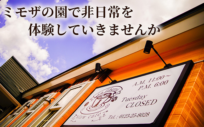 【定期便：全4回】自家製コーヒー豆 ドリップバック5個入×3セット | お試し コーヒー ドリップ セット 少量パック 自家焙煎 ギフト 手軽 本格 高品質 ミル不要 おすすめ 贈り物　お取り寄せ 北