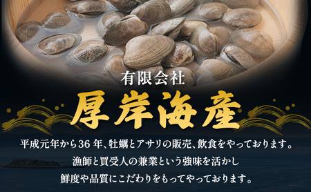 【3カ月 定期便 】訳あり 北海道 厚岸産 砂出し済み 活あさり 500g×2 (合計1kg) 【厚岸海産】[ アサリ 魚貝 海鮮 大粒 美味しい 栄養 旨み 砂出し 水洗い 冷蔵 便利 ] 