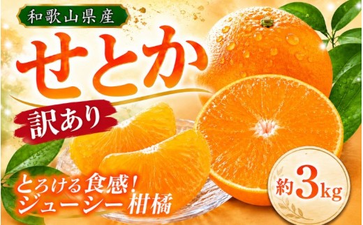 【訳あり・ご家庭用】ジューシー柑橘 せとか 約3kg【先行予約】 せとか みかん ミカン 柑橘 フルーツ 果物 くだもの【2027年2月下旬頃〜2027年3月中旬頃発送予定（お届け日指定不可）】