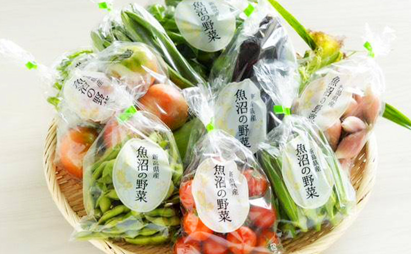 夏野菜詰め合わせ　おまかせセット 野菜　茶豆 とうもろこ