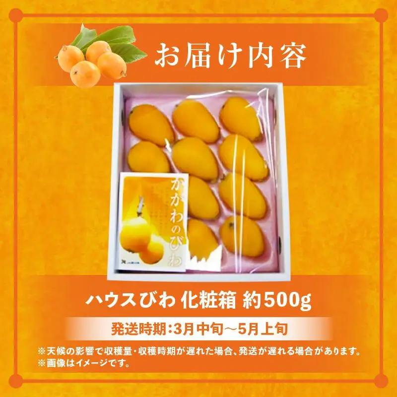 ハウスびわ化粧箱 約500g【2026-4月中旬～2026-5月上旬配送】| びわ