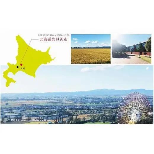 令和5年産【メール受付限定】北海道米3種から選択可能【10・×4回分】お好きなタイミングでお届け可能＊ネット申込限定【01202】