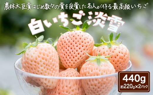 ＜先行予約受付中・令和8年1月中旬以降順次発送＞白いちご 淡雪440g［A4603-04-0］