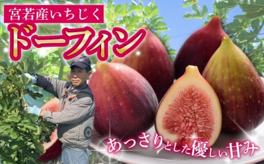 福岡県宮若市産 いちじく 400g×4パック(1.6kg) [M894-1]