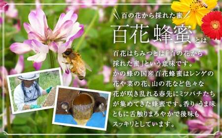 かの蜂 国産百花蜂蜜4kg（1kg×4本）（とんがりポリ容器）養蜂一筋60年自慢の一品 国産 純粋はちみつ ハチミツ 非加熱 ハニー 非加工 保存食 防災グッズ 024-104
