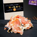 【ふるさと納税】鮭の飯寿司（いずし）【250g／500g（250g×2）】 ふるさと納税 北海道