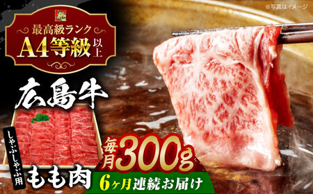 【全6回定期便】広島牛もも肉（しゃぶしゃぶ用）300g[APAZ067] 牛肉