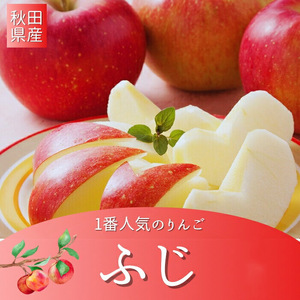秋田県産 りんご ふじ 訳あり 約3kg 家庭用【BARUバイオジャパン吉村(株)】[L9906]