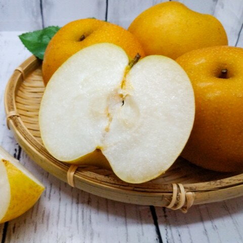 【ふるさと納税】南信州産　梨「南水」約5kg　【2025年9月より順次発送】 | 果物 くだもの フルーツ 梨 なし ナシ 南水 長野県 信州 南信州 飯田市 H10